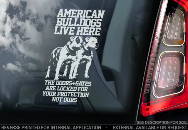 AMERICAN BULLDOG Car Sticker, Bully Dog Pet Window Sign Bumper Decal Gift - V06