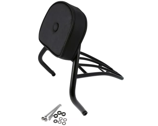 Sissy Bar pilote, porte-bagages compatible avec HD Sportster 48 (XL1200X) 2010-