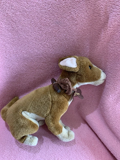 THE MARY ROSE War Ship Captains Dog HATCH soft toy plush 25.00 - PicClick  UK