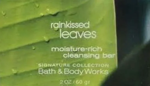 Bath & Body Works Rainkissed Leaves Soap. Lot of 16 Bars. 32oz Total