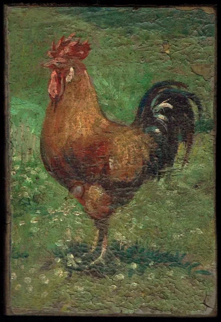 Pollaio Gallo Dipinto Olio su Tavoletta  cm. 8 x 12