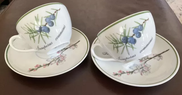 APILCO :: 2 Elysian Garden COFFEE/TEA CUP & SAUCERS 2 Sided Botanicals FRANCE