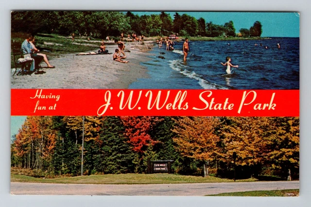 Cedar River MI- Michigan, JW Wells State Park, Vintage Postcard