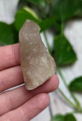 1.8" Rare CITRINE Untreated Crystal Point S8 Charged Zambia 24g *Read Below*
