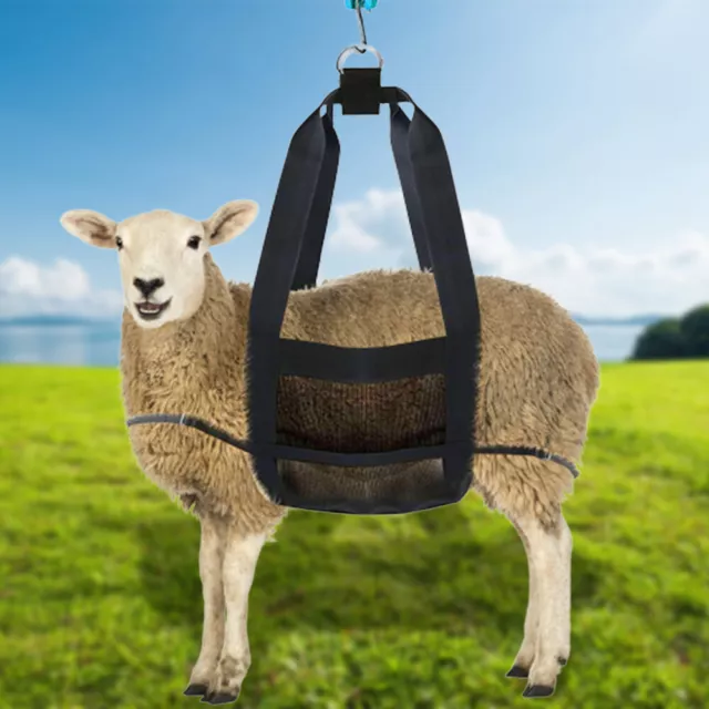 Calf Sling for Weighing Small Animal Livestock Sling Hang Scale Calf Scale Sling