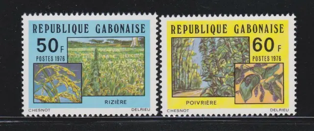 Plant15 - Nature & Plants Stamps Gabon  1976 Plants Rice Pepper  Mnh