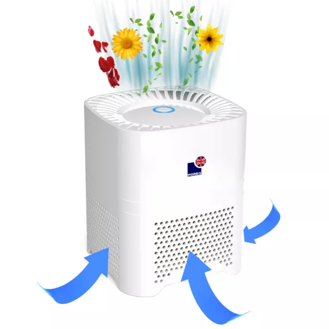 Air Purifier with 4 in 1 Medical Grade H13 Hepa and Carbon Filter & Ioniser