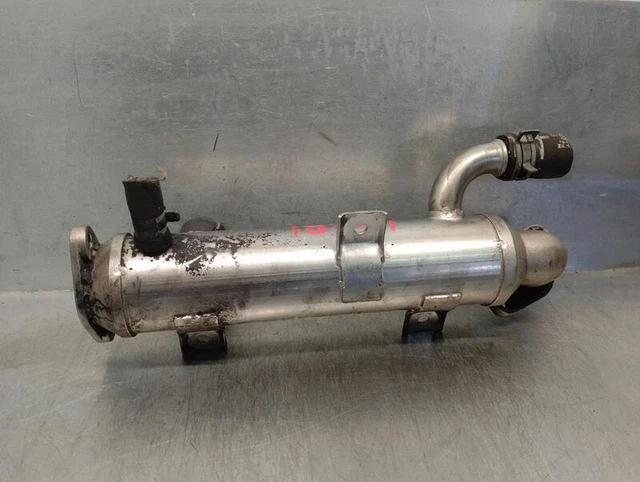 038131513G refrigeratore egr per SEAT LEON 1.9 TDI 1999 4792719