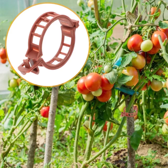 100 Pcs Pinces De Soutien Clips Vigne À Plantes Pour Jardin Maintien Support