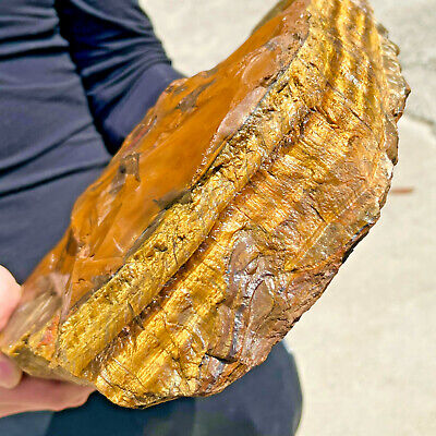 23.98LB Natural tiger's Eye rough raw stone rock specimrn madagescar ZS638