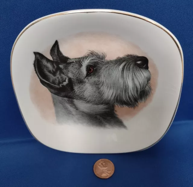 Vintage Crown Staffordshire Terrier England Gold-Rimmed 5 " Square Plate