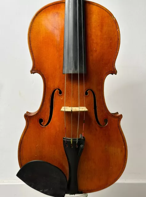 Nr.949 Alte Viola