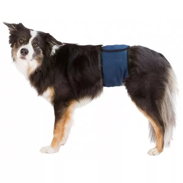 Trixie Belly Bands for Male Dogs - Incontinence Absorbent Pads - Breathable Mesh