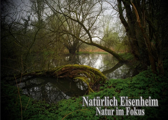Natürlich Eisenheim ~ Jerry-Louis Ruff ~  9783756841875