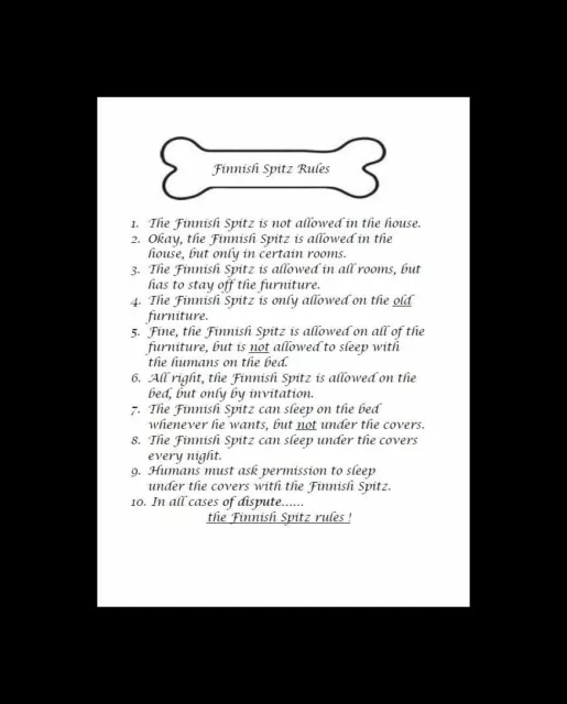 * Finnish Spitz "Rules" - CUSTOM MATTED - Dog Art Print : GIFT