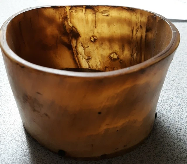 Antique Bovine Horn round dish oak wood bottom 3" wide Scotland