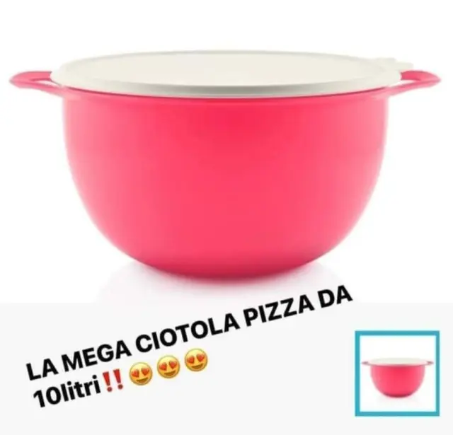 TUPPERWARE CIOTOLA MEGA 10L Impastare,Lievitare Pizza Trasportare Ermetica  EUR 34,90 - PicClick IT