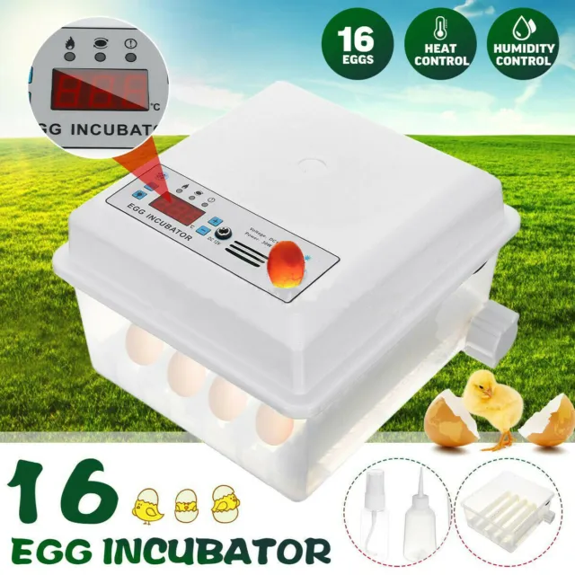 Egg Incubator 12-16 Eggs Fully Digital Automatic Hatcher for Hatching Chicken