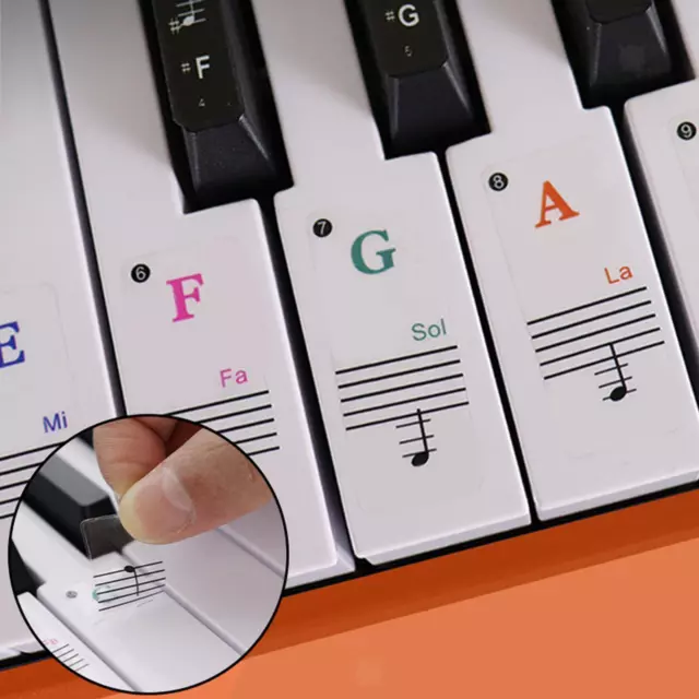 Autocollants de piano de couleur pour claviers à touches 88/76/61/54/49/37;  Excellent outil visuel pour les enfants et les débutants; Transparent et  amovible