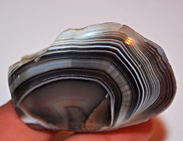 Botswana Banded Agate Rough Natural Nodule W/ Polished Face - Botswana, Africa