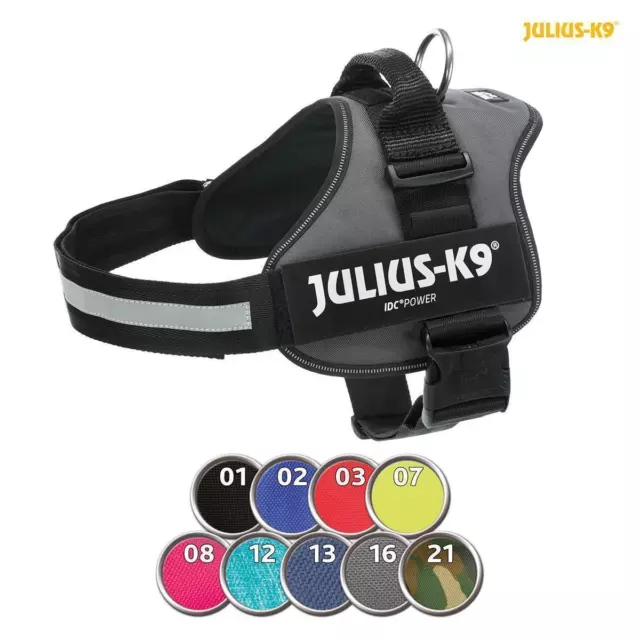 Harnais pour Chien Plats Electriques Julius K9 Ergonomique Chien