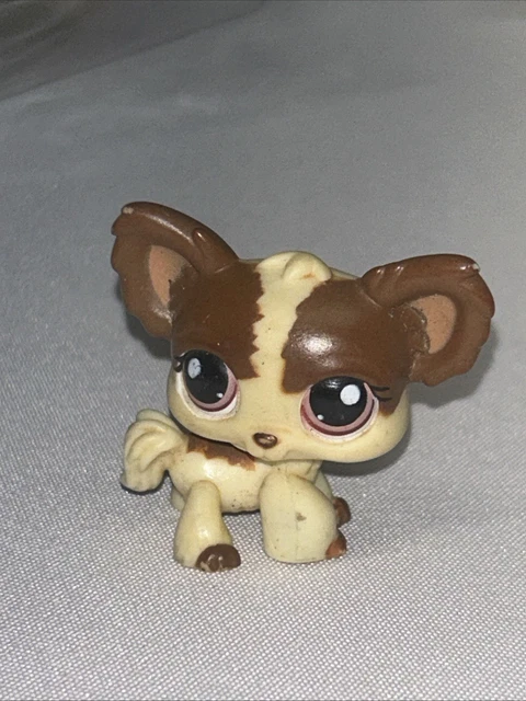 Authentic Littlest Petshop 2514 Dog Chihuahua / Chien Papillon LPS Pet Shop