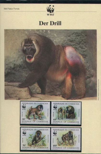 WWF, WNF Kapitel - KAMERUN, Drill,  1988