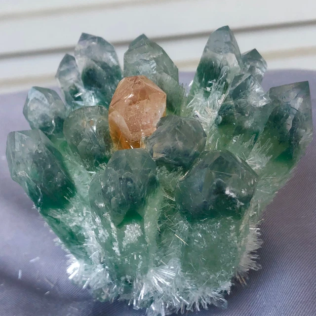 1.13LB New Find Green Phantom Quartz Crystal Cluster Mineral Specimen Healing 5