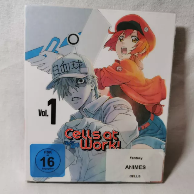 Anime Cells at Work! Vol. 1 Blu-ray + DVD Deutsch ab 16 Jahren 2020 Episoden 1-5