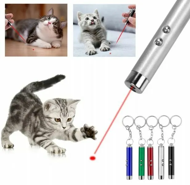Keychain Red Laser Pointer Pen 650nm With White LED Torch Fun Pet Cat Dog Toy