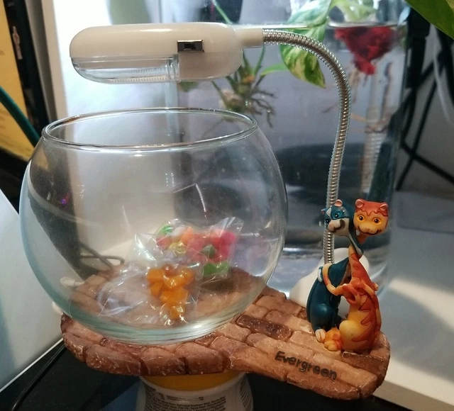 Mini Glass Bowl Beta Fish Tank With Led Light And 2 Cats Deco Included Rocks N
