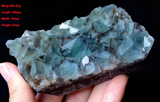 283g New Find Transparent Blue Cube Fluorite Crystal Cluster Mineral  Specimen