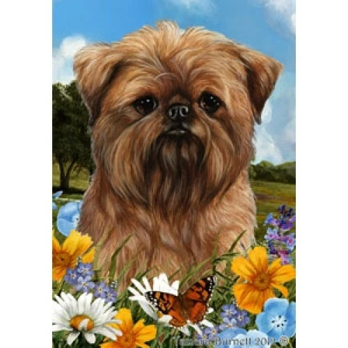 Summer Garden Flag - Brussels Griffon 181281