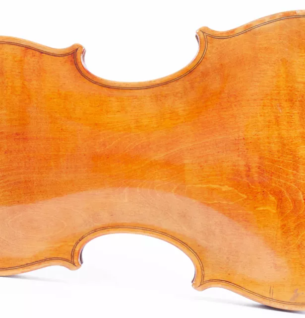old fine violin Pallotta 1791 violon alte geige viola cello italian 4/4 viool