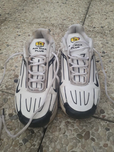 PAIRE DE NIKE Air Max TN 43 EUR 43 00 PicClick FR