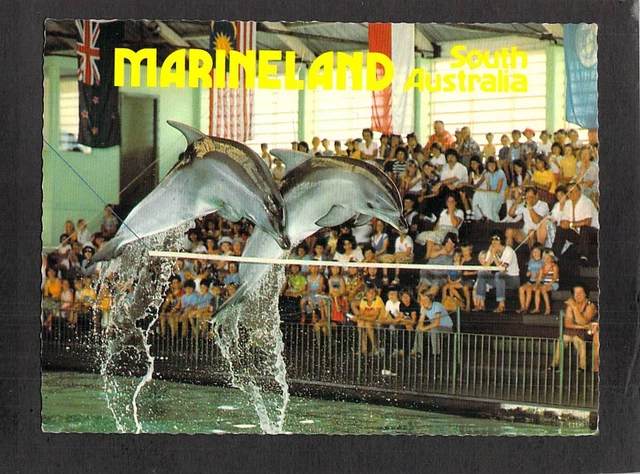 C7821 Australia SA Adelaide Marineland DO306 Trueview postcard