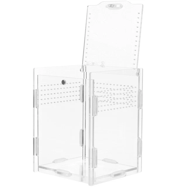 Terrario In Acrilico Trasparente 20x12x12 Cm - Con Fori Aria E Chiusura Magnetica, Per Geco, Ragni, Insetti