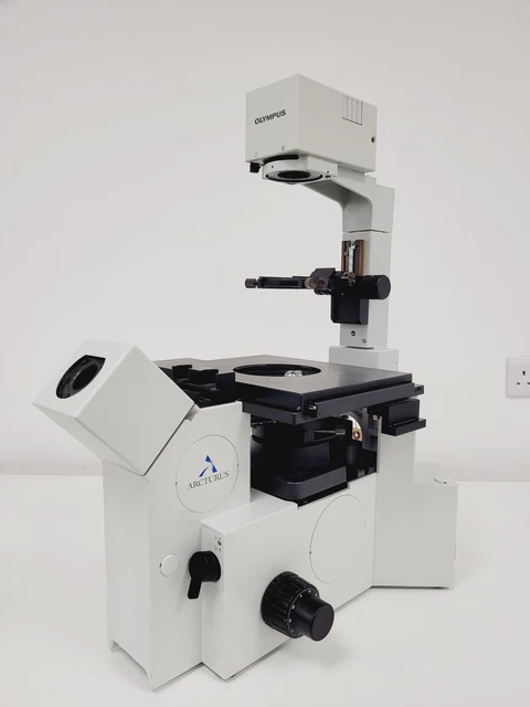 Image of Levenhuk 3ST microscope eBay website