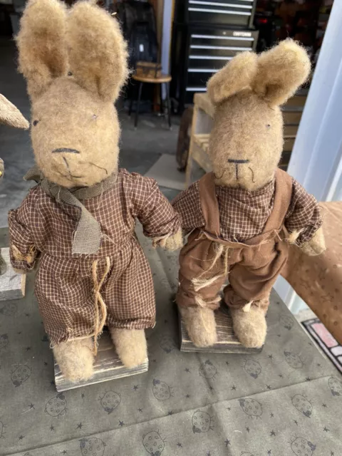 Arnett’s Country Store Rabbits