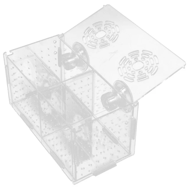 Box Incubatrice Per Avannotti Pawfly - Acrilico, 17.3x10x10cm, Con Separatori E Ventose - Foto 5