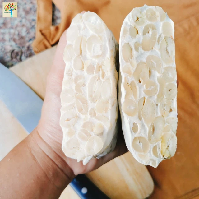 3.5 OZ ORGANIC SoyFree Tempeh Starter Culture Rhizopus Oligosporus 14