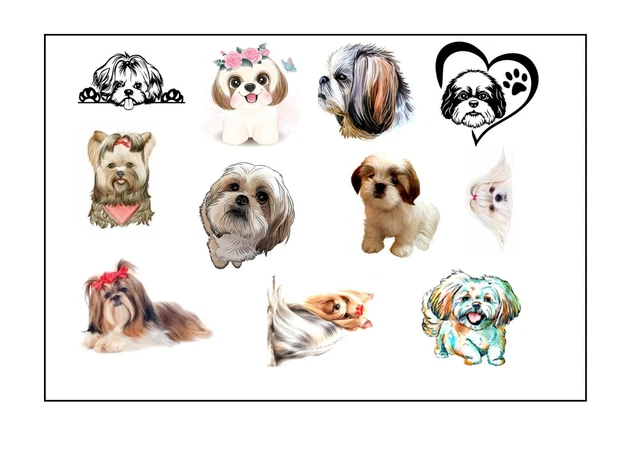 SHIH TZU shihtzu Dog Temporary Tattoos Tattoo £5.00 - PicClick UK