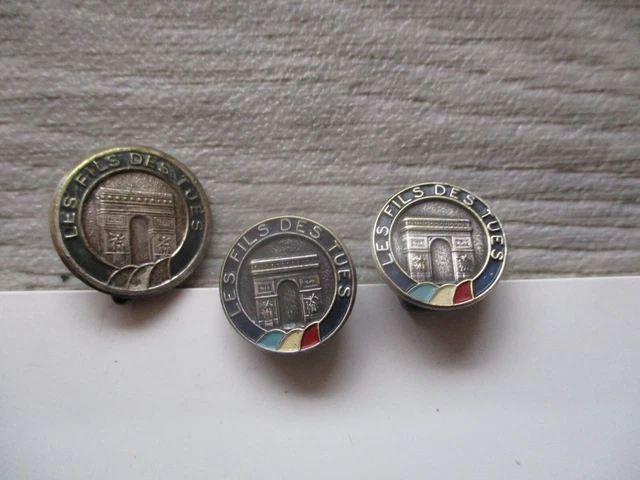 Insigne De Boutonnière Le Jardin Du Cheminot – Collection, état TBE