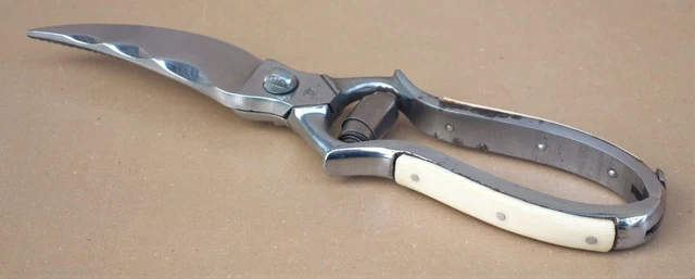Ciseaux à Volaille 32 Cm DUMAS, Acier Chromé - Argenté
