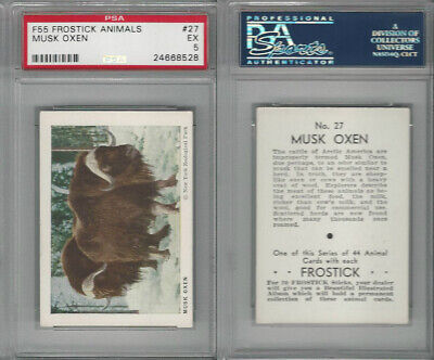 F55 Frostick, Animal Cards, 1933, #27 Musk Oxen, PSA 5 EX