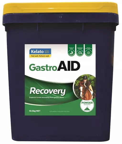 Kelato GastroAID Recovery 10.5kg Horse Gut Health Equine Gastric Ulcer Health