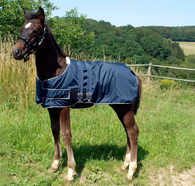 Waldhausen Foal Turnout Rug | Horses & Ponies