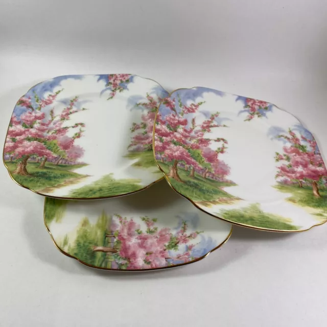 Royal Albert Blossom Time Bread & Butter Plate S7132868G2