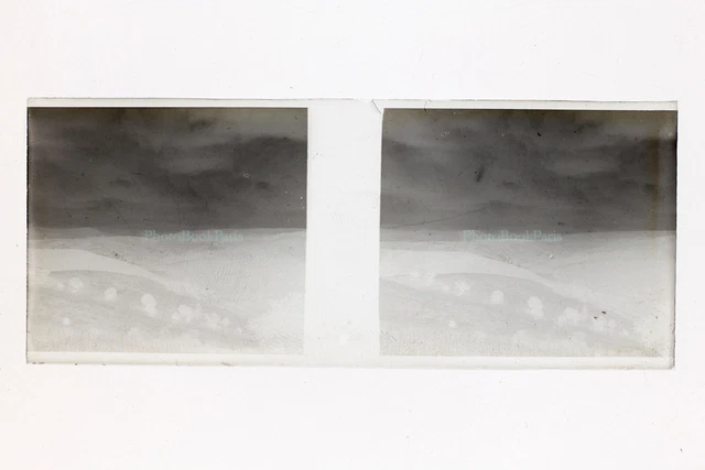 Paysage Photo Amateur NEGATIF PL51L31n18 Plaque de verre Vintage 1909