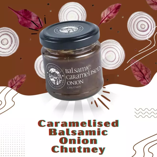 Snowdonia Cheese Company Balsamic Caramelised Onion Chutney, 100g